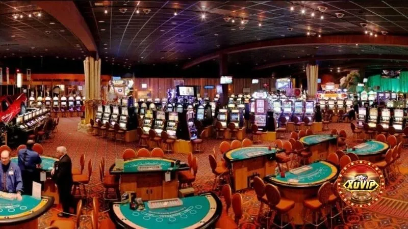Casino tạo ấn tượng với phiên cược chất lượng
